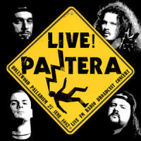 This Love_Pantera