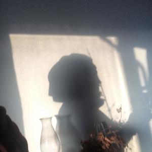 Kingdom Of The Blind