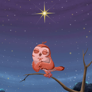 Wish Upon A Night Star