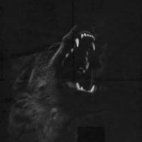 Kininatteiku_Necry Talkie