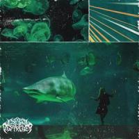 Liquor and Love Lost (COVER)_Braille