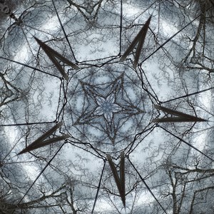 Twilight Of New World