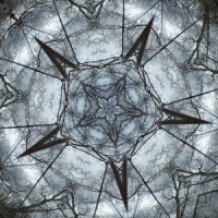 Twilight Of New World_Heavy Competition 7