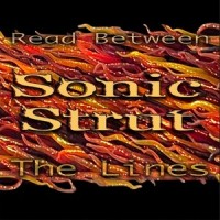 Maybe I Will Maybe I Won't_The Young Veins