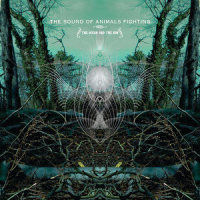 Another Leather Lung_The Sound Of Animals Fighting