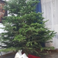 Last Man Standing_Overkill