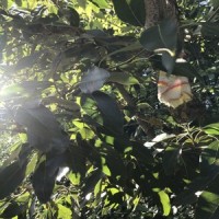 Фанк_Валентин Стрыкало