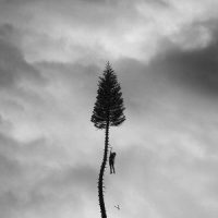The Mistake_Martin Galabov