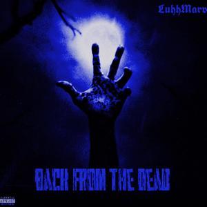 Kaya The Dancing Leprechaun