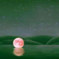 Watching The Rain_Michał Adam Świder