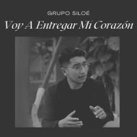 Voy A Entregar Mi Corazón_Pablo Olivares