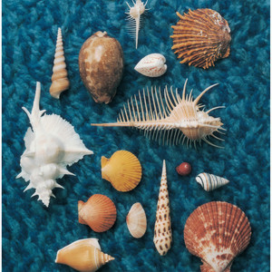 C Diatonic Alteration Cycle