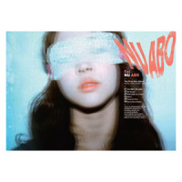 Mr Boogie Tambourine Man_Maximum The Hormone