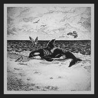 First Lesson_Matt Stewart