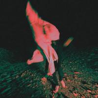 Alcoholic Coma_Sarcofago