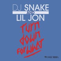Turn Down For What_Dj Snake & Lil Jon