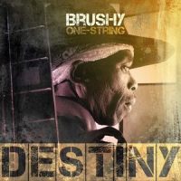 Chicken In The Corn_Brushy One String