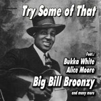 I Believe Ill Dust My Broom_Robert Johnson