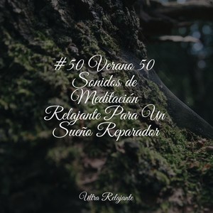 El Portador De La Oscuridad