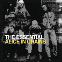 Brother (Solo)_Alice in Chains