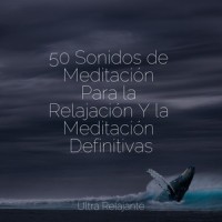 Dream of..._Filosofia