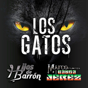 Los Gatos