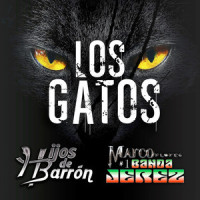 Los Gatos_Solenoide