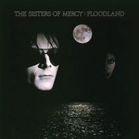 Dominion_Sisters Of Mercy