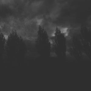 He Was A Good Stalker