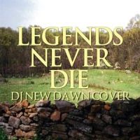 Project 3 (new)_Legends Never Die