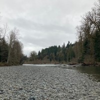 What Kind Of Nation_Buckethead