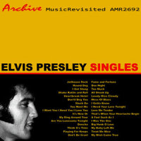 Big Hunk O Love_Elvis Presley