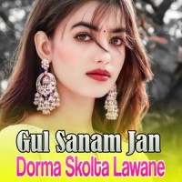 chaos of illusion_Sarkikov