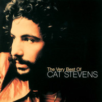 Into White_Cat Stevens