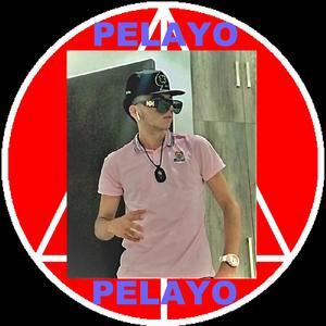 Pelayo