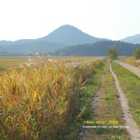 Existence_Gates Of Morgan