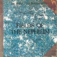 Endemoniada_Fields Of The Nephilim