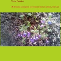 Валет И Дама (V2)_Король и Шут