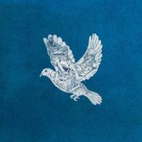 Magic_Coldplay