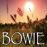 Who Likes To Rock The Party?_Flight Of The Conchords