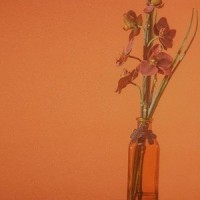 Hey Barbara_Iv Of Spades