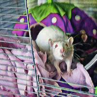 Revival America_Impending Doom