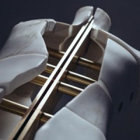 The Golden Cage_Ponsproject