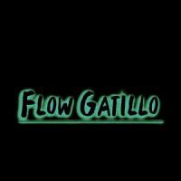 Gatillo_Ramon