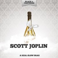 Scott Joplin's New Rag_Stefan Grossman