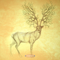 Clear The Tracks_Chris Thile