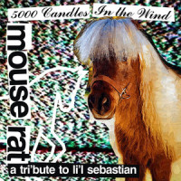 5000 Candles in the Wind_Mouse Rat