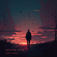 Into the Dusk (from Ace Combat 5)_Keiki Kobayashi