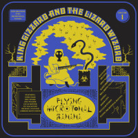 Billabong Valley_King Gizzard & The Lizard Wizard