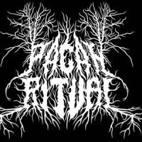 Carelian Satanist Madness_Satanic Warmaster